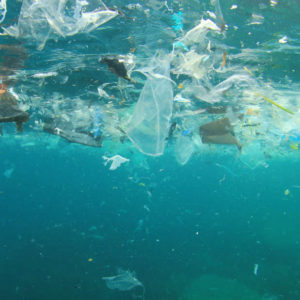 Large garbage patch found in Pacific Ocean